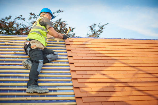 Best Chimney Flashing Repair  in Lame Deer, MT