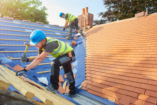 Best Solar Panel Roofing Installation  in Lame Deer, MT